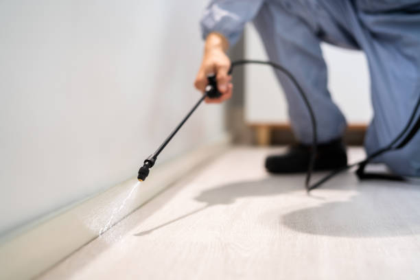 Licensed Cockroach Control service in Laurel, VA - Nex Pest Control