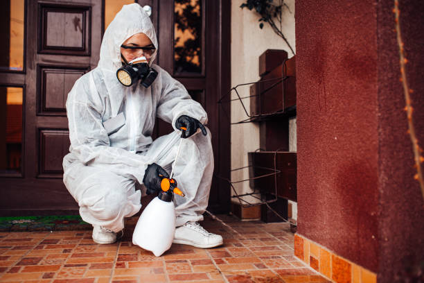 Reliable Cockroach Control contractor in Laurel, VA by Nex Pest Control